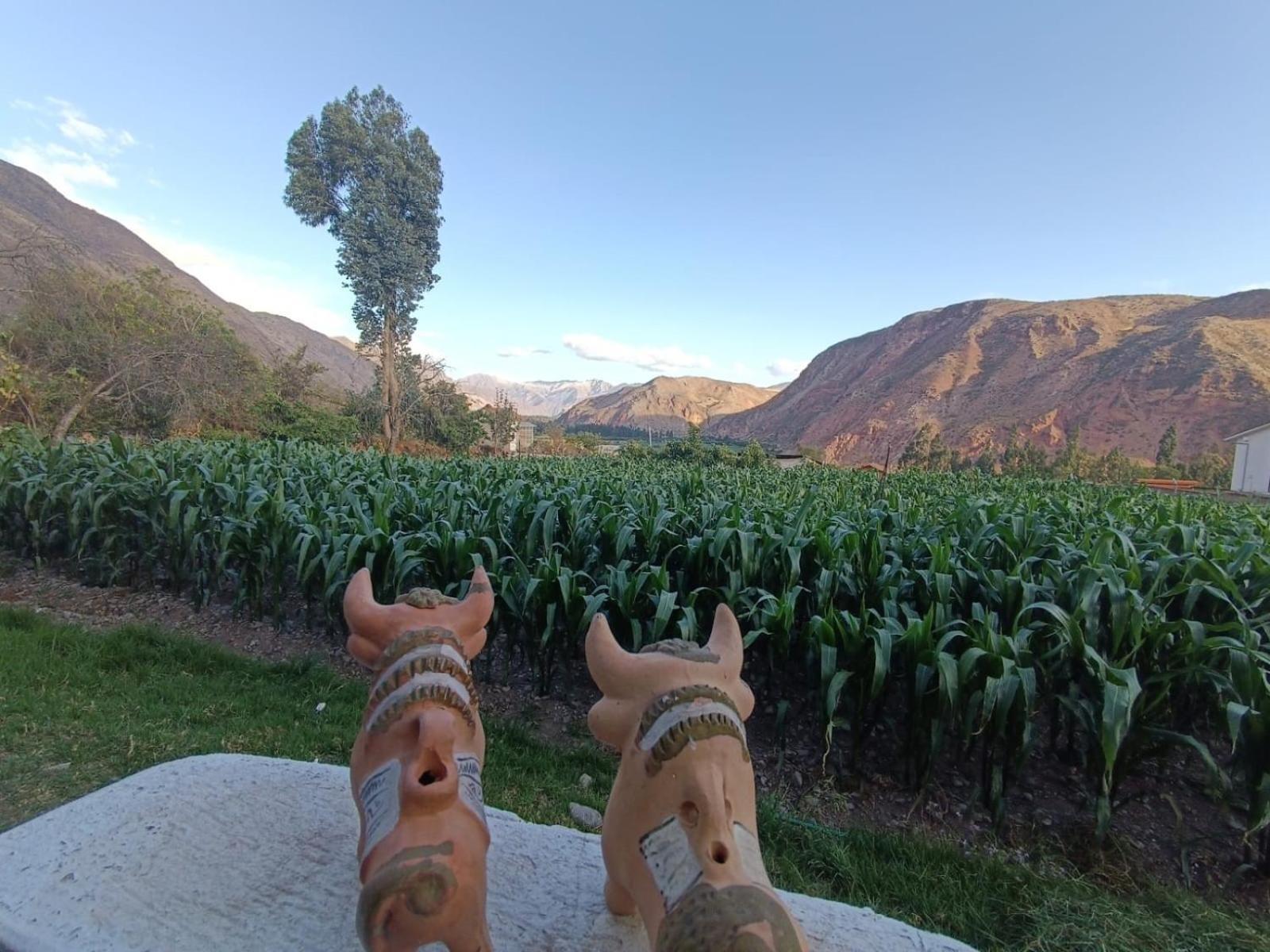 Casa Yanahuara Valle Sagrado - Урубамба Екстериор снимка